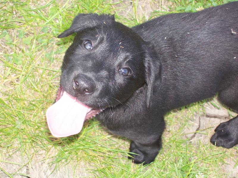 Foto: Jessie když byla ještě malinká