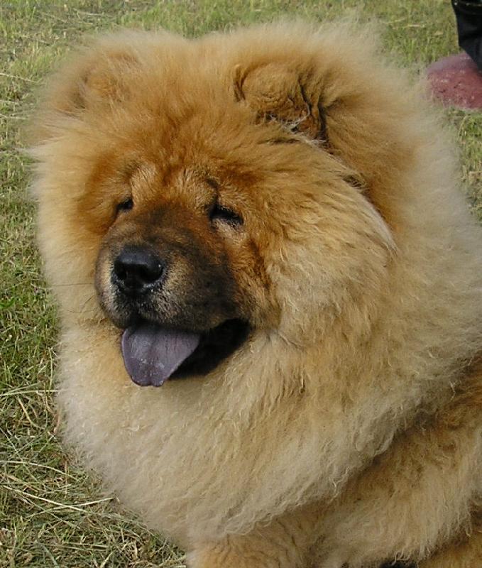 Foto: slečna Nelinka-bude ze mne šampiónka