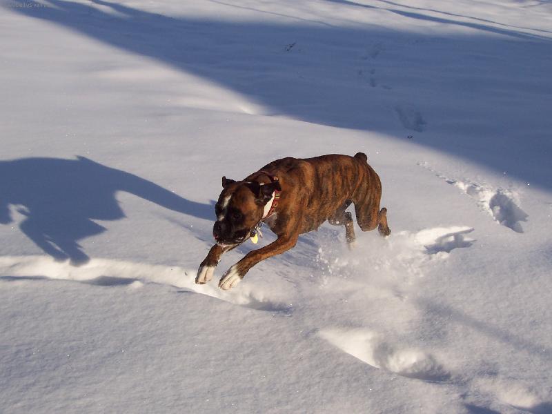 Foto: Elinka a sníh