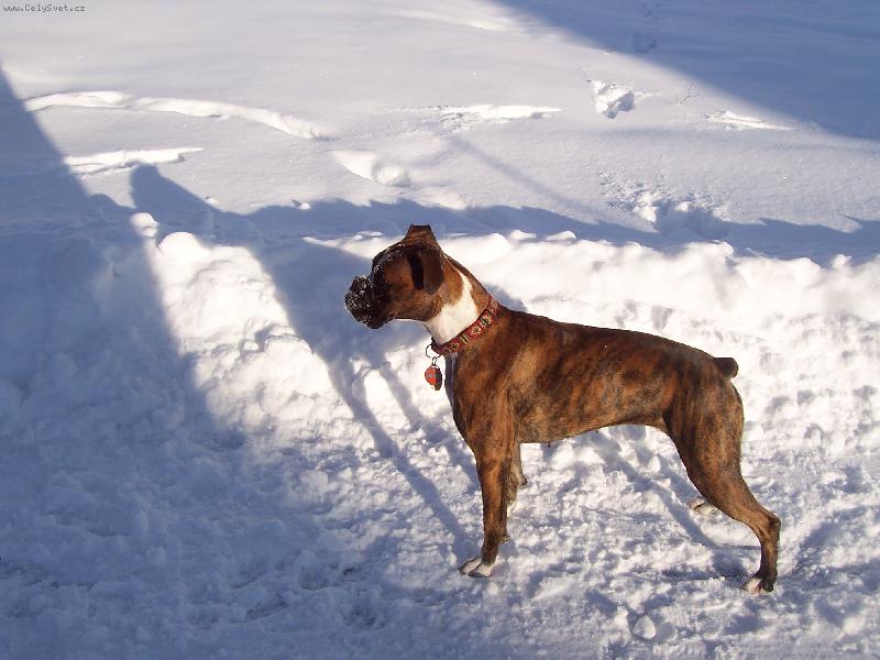 Foto: Elinka s kamarádkou