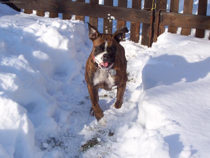 Foto: hurááááááááá