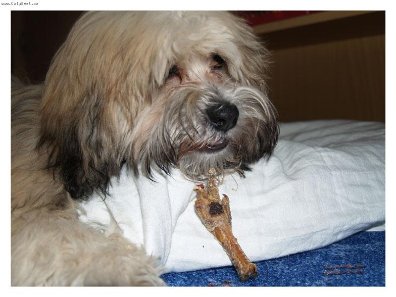 Foto: s pařátkem =)-6 měsíců