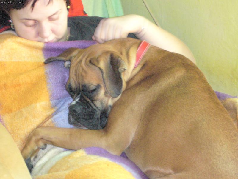 Foto: spaní-děti usnuly