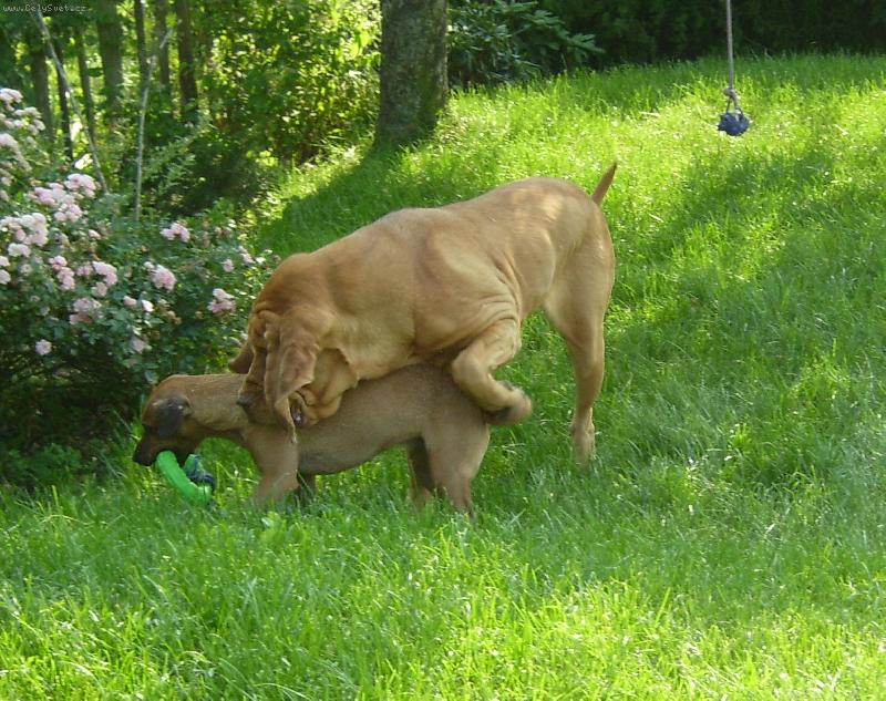 Foto: ISEB CS-... taky chci ten kroužek