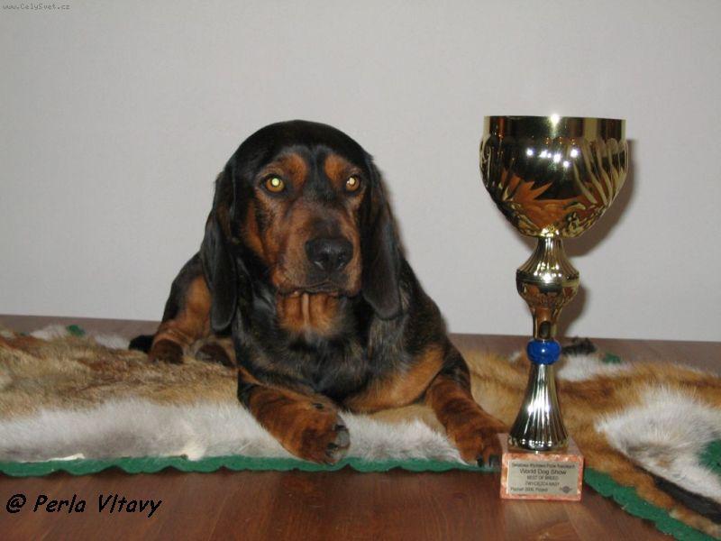 Foto: Takhle jsem byl šikovný-Světová výstava Poznaň 2006