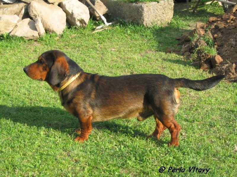 Foto: Tak jsem pěkný