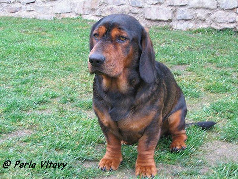 Foto: Musím pózovat