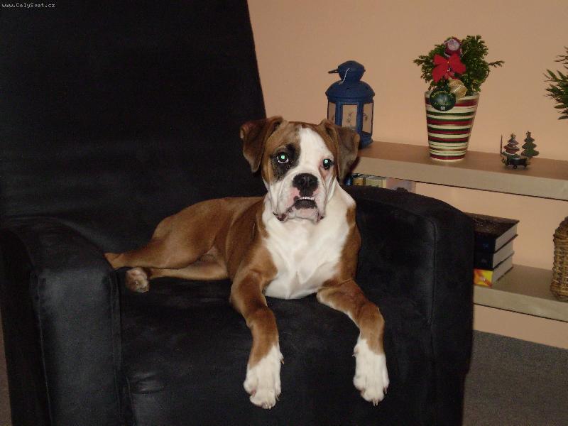 Foto: naše Baruška-naše Baruška