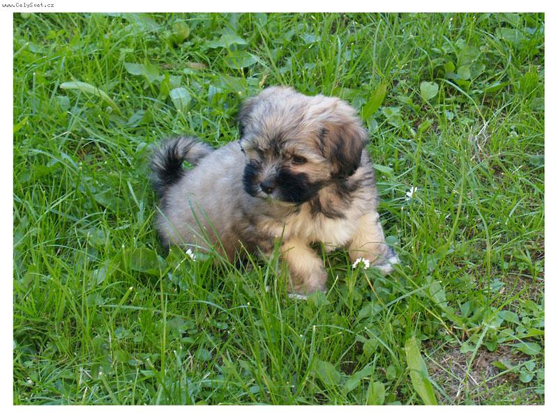 Foto: Ange-Skoro 2 měsíce