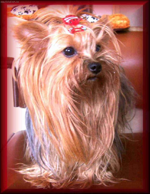 Foto: Trixinka-Parádnice