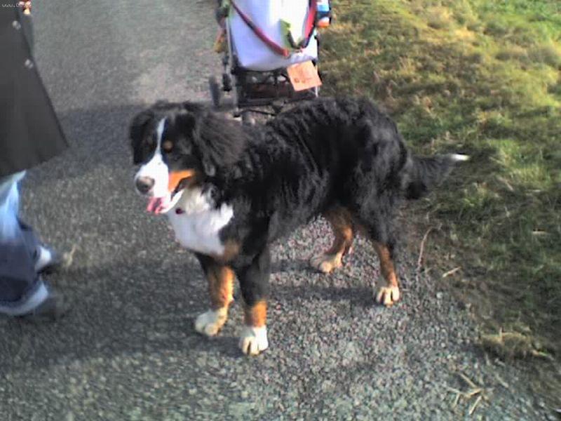 Foto: naše BARUNKA!