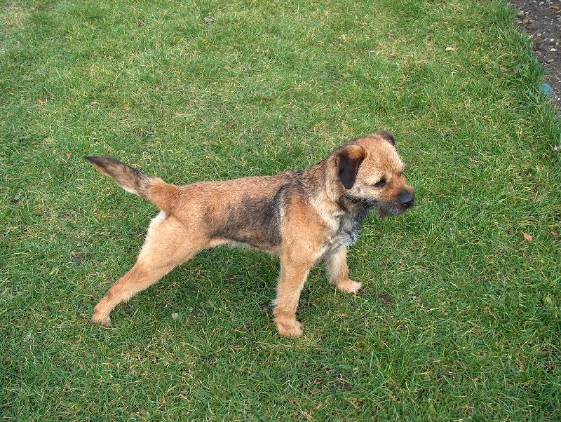 Foto: alina z Mošnova dvora