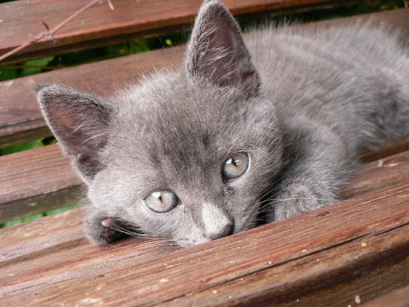 Foto: náš Mechouš