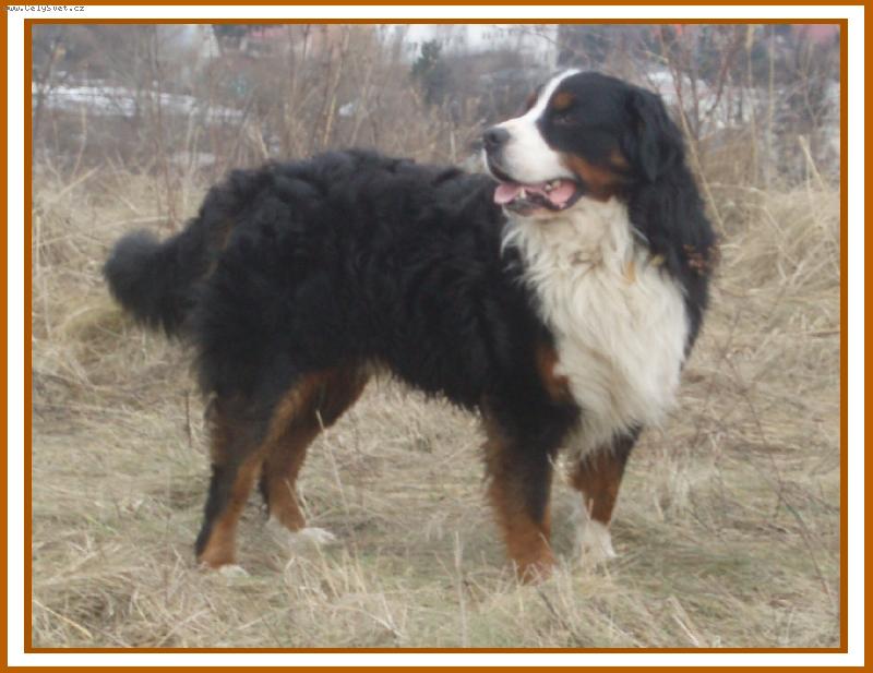 Foto: Dago Rudnianska dolina-Dagulík