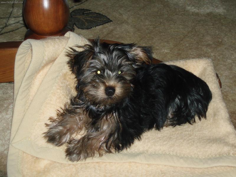 Foto: Cleo-nas milacik