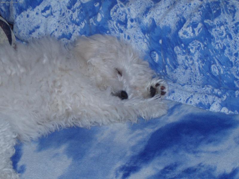 Foto: Spící Jessinka