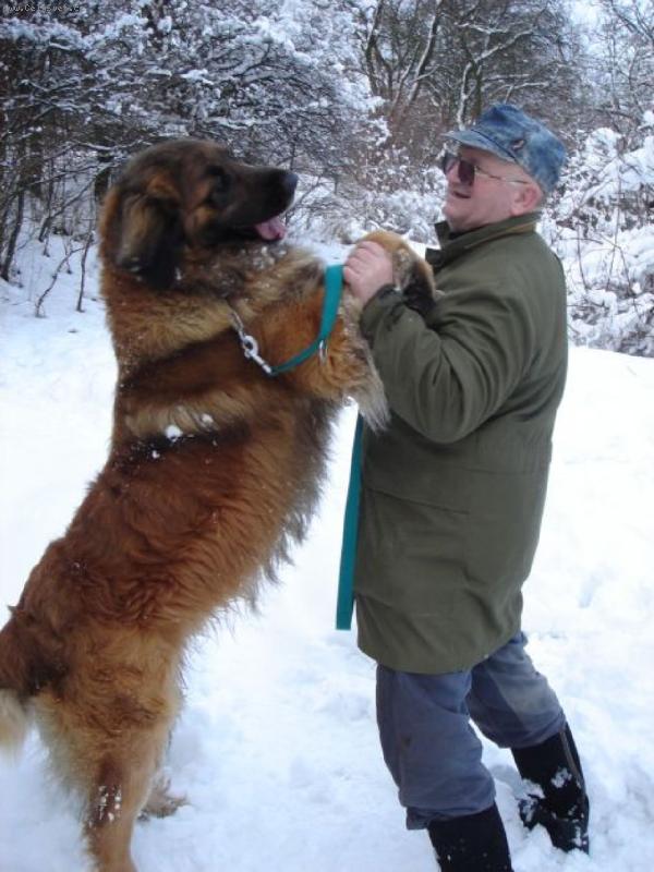 Foto: Konečně sníh