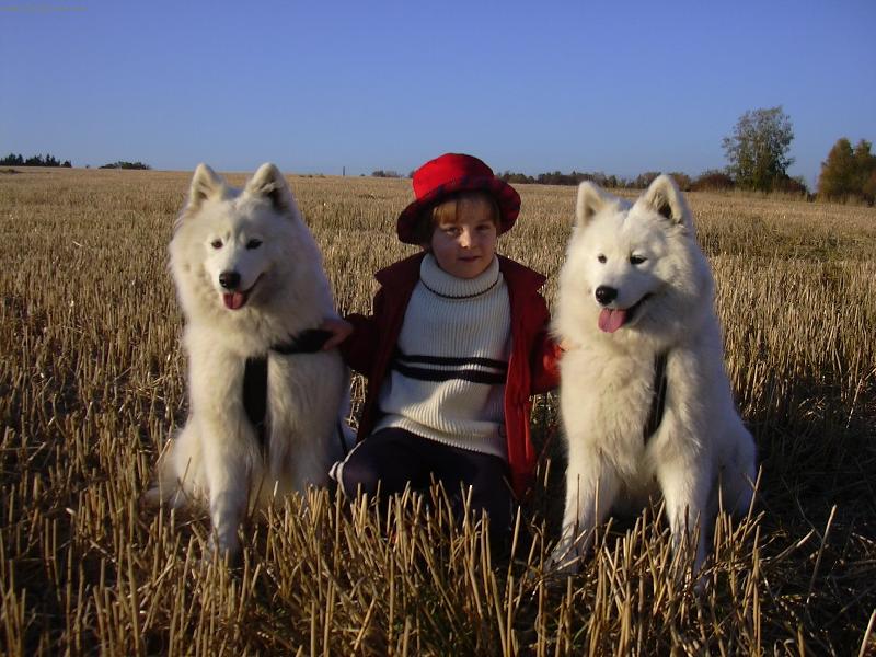 Foto: Tři čičinky