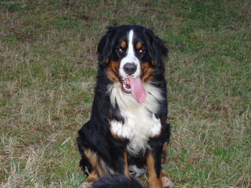 Foto: Elen ze Staměřic