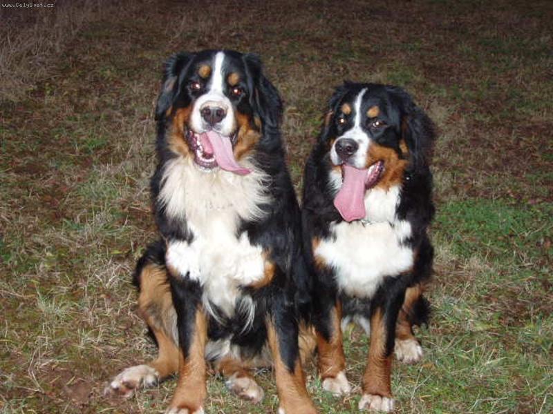 Foto: Lusy a Eliška