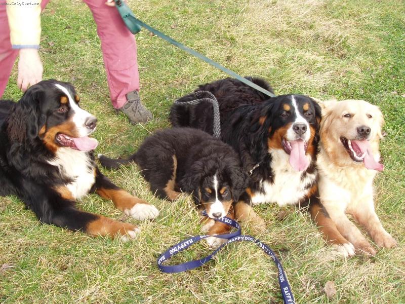 Foto: Eliška,Lusy,Barča a Fabio