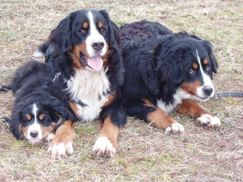 Foto: Fabio,Lusy a Eliška