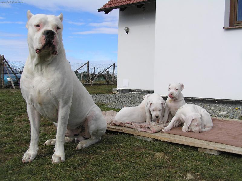 Foto: Ricardo a jeho C děti