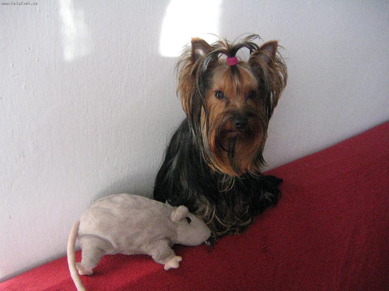 Foto: Dorinka s kámoškou