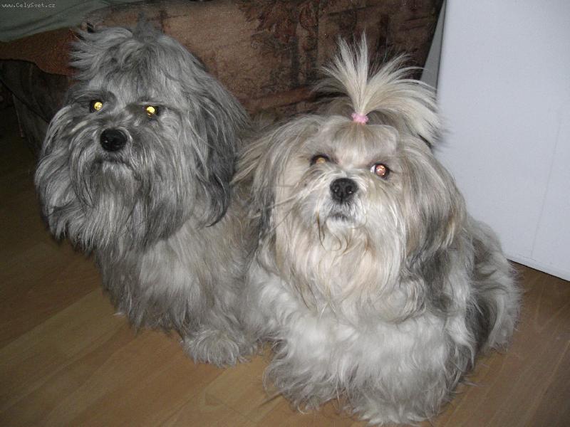 Foto: Sindynka a Lumpík:-)