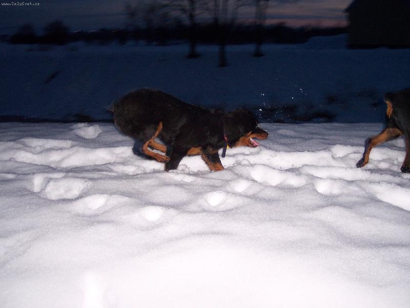 Foto: Sany-Hrátky v zimě