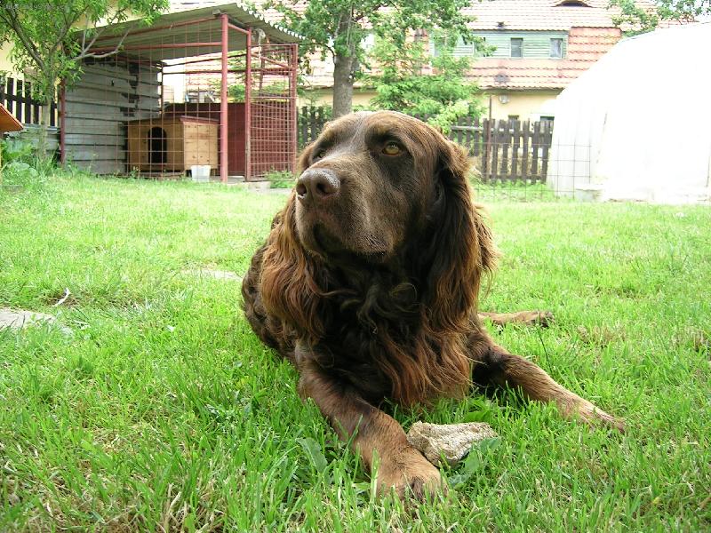 Foto: Pedro z Javorového vrchu