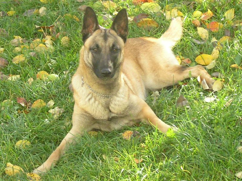 Foto: Arísek-To je slečna, co?