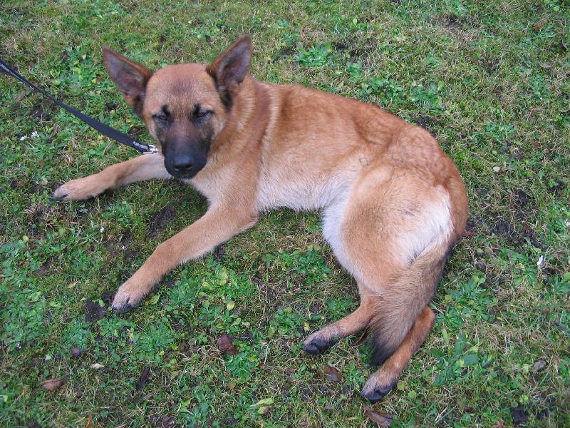 Foto: Cherry-Mno není hezká??:)