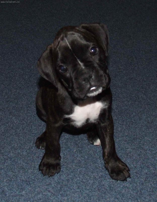 Foto: Anne-Anne z Bučovic