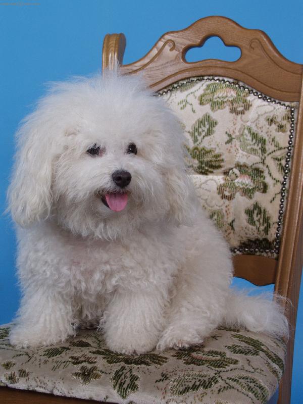 Foto: Jsem v ateliéru-Hédoné Valašské hory