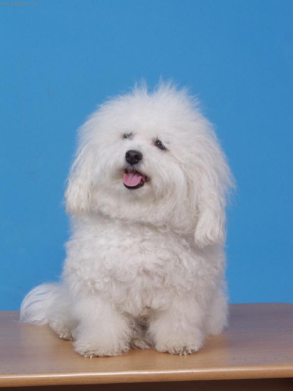 Foto: Jsem hvězda-Hédoné Valašské hory