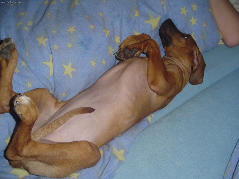 Foto: Dobrou noc-4 mesice