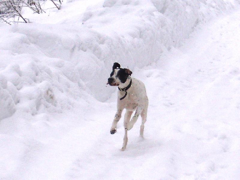 Foto: Benjamine na horách-výlet do Krkono