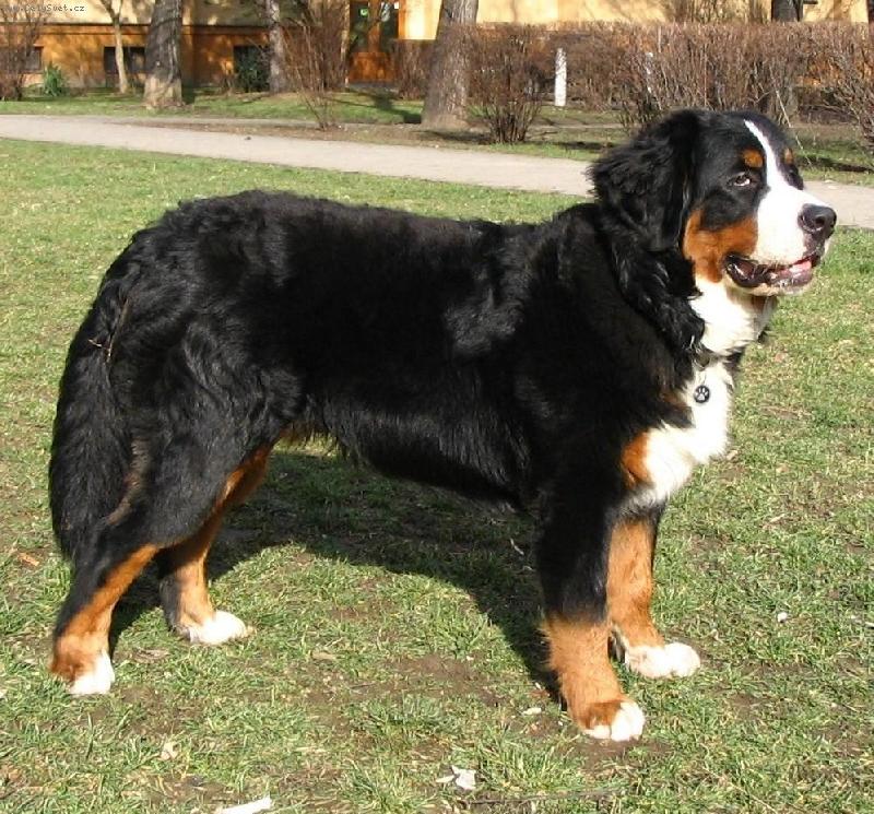 Foto: Astor-Astor Polepské údolí, 8 a půl měsíce