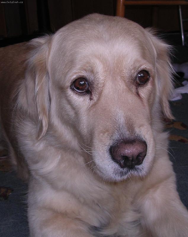 Foto: Kesi-Smutná =o(