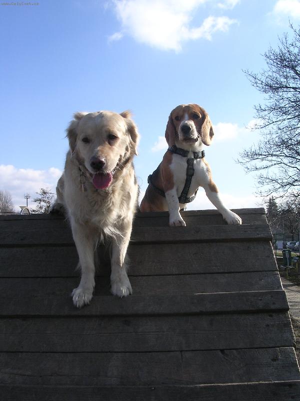 Foto: Kesi-Kesinka s Kamarádem