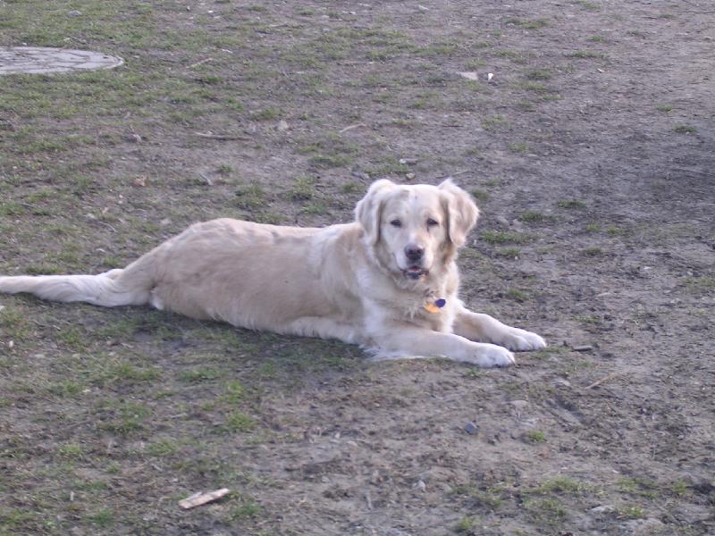 Foto: a zase Kesi-čunisko