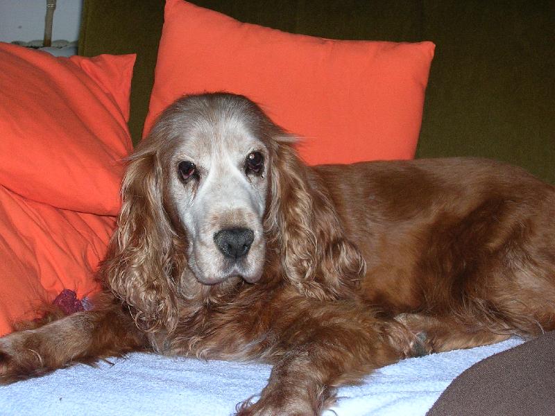 Foto: podohlí-Ketynka