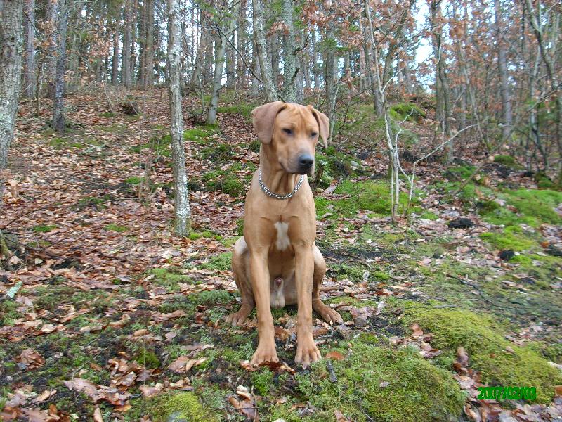 Foto: Rocky-Na procházce