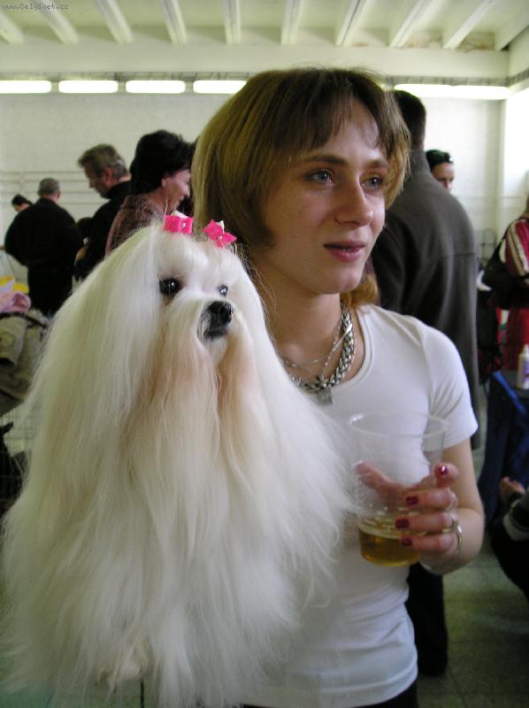 Foto: ŽIŽI-JÁ A GIPSY GIRL PLEASURE OF FRIENDSHIP