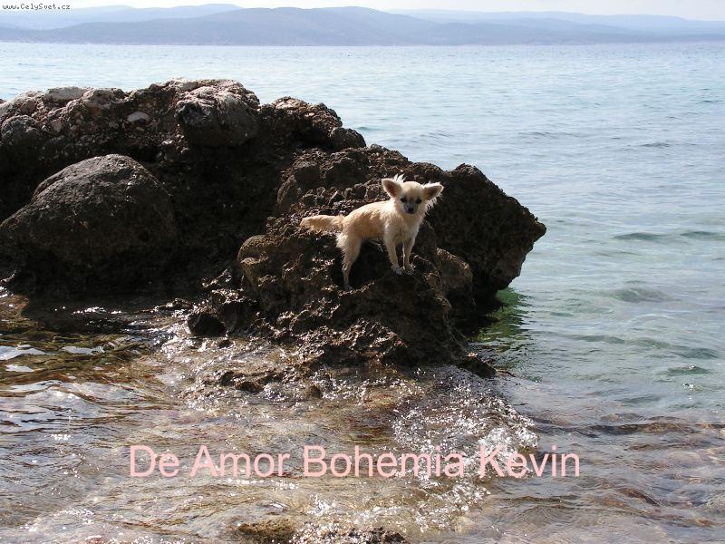 Foto: ,,Jako Robinson\"-Dorinky první dovolená u moře-září 2005