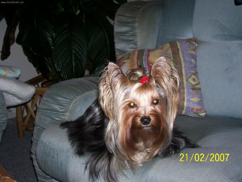 Foto: Bessy-www.jork-bessy.estranky.cz