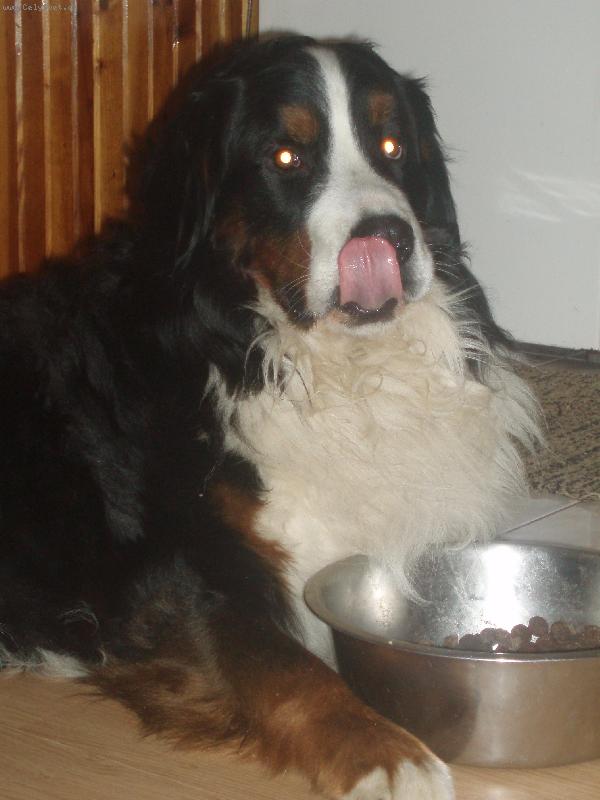 Foto: mňamky-mňaaam