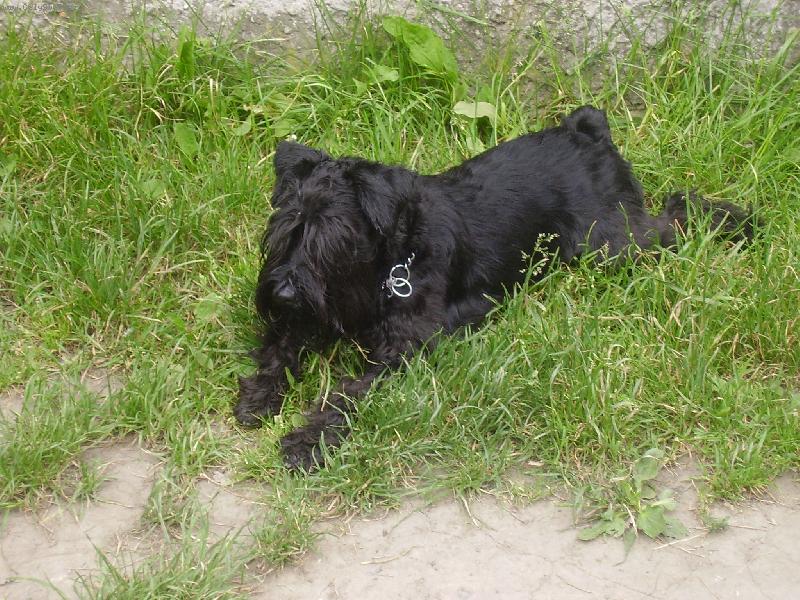 Foto: Quendoline Androis-Pozoruji ze zálohy..........