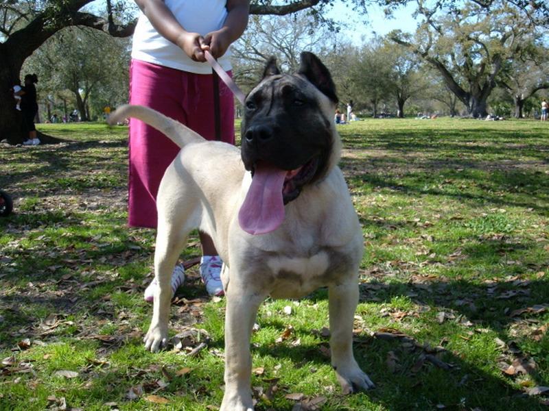 Foto: GIA Guanchos-/WIKA Kwintylion & UR de los Cardones